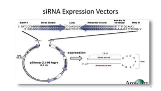 Sirna Animation RNA interference | PPTX