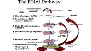 RNA interference | PPTX