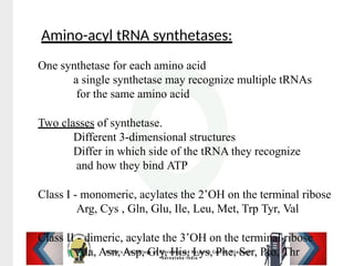 Rna Parallel Syntes RNA processing, RNA synthesis.pptx: RNA functions in RNA processing | PPTX