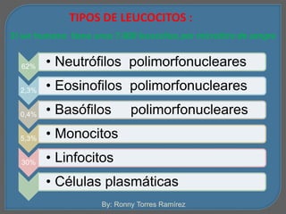 TIPOS DE LEUCOCITOS : 
El ser humano tiene unos 7.000 leucocitos por microlitro de sangre 
62% • Neutrófilos polimorfonucleares 
2,3% • Eosinofilos polimorfonucleares 
0,4% • Basófilos polimorfonucleares 
5,3% • Monocitos 
30% • Linfocitos 
• Células plasmáticas 
By: Ronny Torres Ramírez 
 