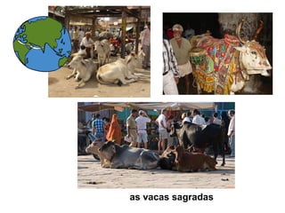 as vacas sagradas
 