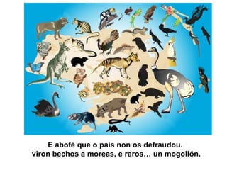 E abofé que o país non os defraudou.
viron bechos a moreas, e raros… un mogollón.
 