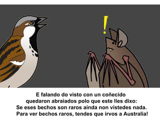 E falando do visto con un coñecido
quedaron abraiados polo que este lles dixo:
Se eses bechos son raros aínda non vístedes nada.
Para ver bechos raros, tendes que irvos a Australia!
 