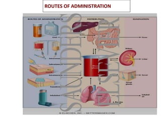 Routes of Drug Administration | PPTX