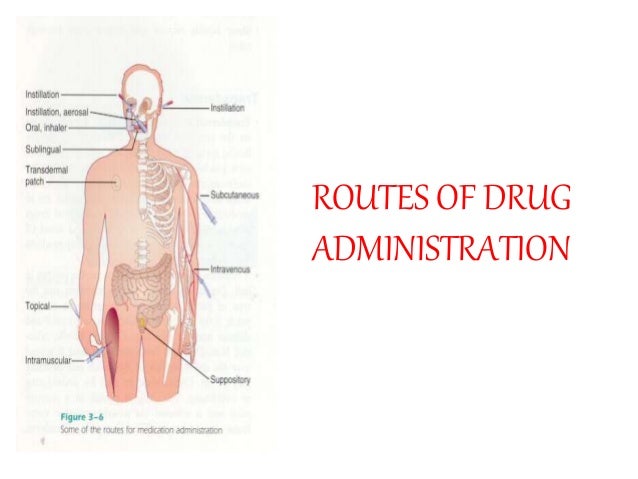 Routes Of Drug Administration