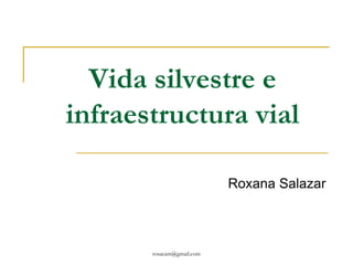 Vida silvestre e
infraestructura vial

                           Roxana Salazar



       rosacam@gmail.com
 