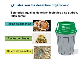 ¿Cuáles son los desechos orgánicos?
Son todos aquellos de origen biológico y se pudren,
tales como:
Restos de alimentos
Restos de plantas
Restos de animales
 