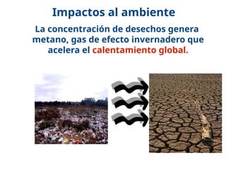 La concentración de desechos genera
metano, gas de efecto invernadero que
acelera el calentamiento global.
Impactos al ambiente
 