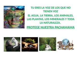 TU ERES LA VOZ DE LOS QUE NO
TIENEN VOZ
EL AGUA, LA TIERRA, LOS ANIMALES,
LAS PLANTAS, LOS MINERALES Y TODA
LA NATURALEZA.
PROTEGE NUESTRA PACHAMAMA
 