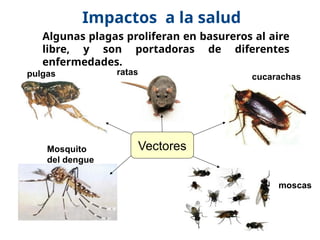 17/10/11
Impactos a la salud
Vectores
Algunas plagas proliferan en basureros al aire
libre, y son portadoras de diferentes
enfermedades.
pulgas ratas
cucarachas
Mosquito
del dengue
moscas
 