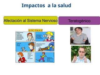 17/10/11
Afectación al Sistema Nervioso Teratogénico
Impactos a la salud
 