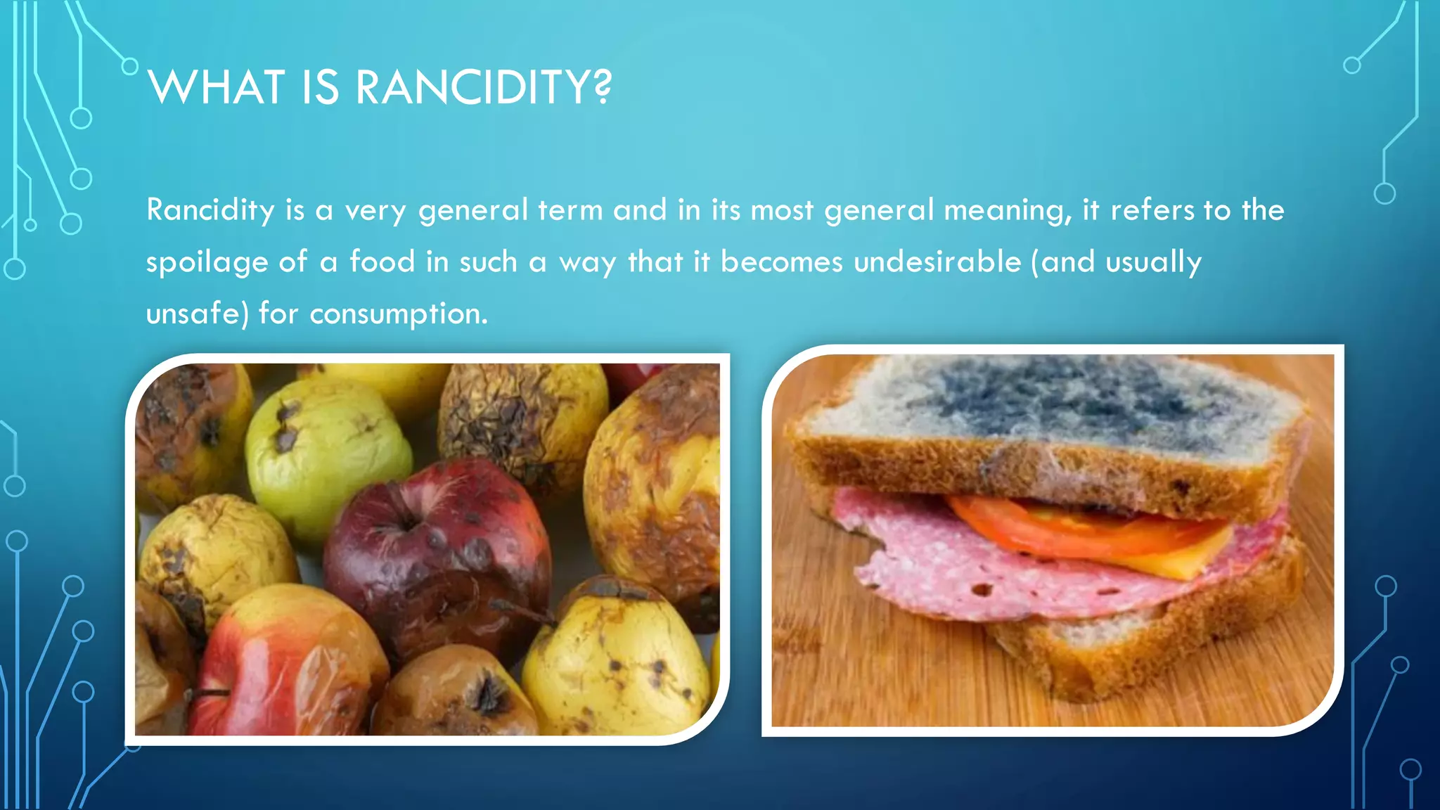 Ncert Class 10 Chapter 1 PPT | PDF