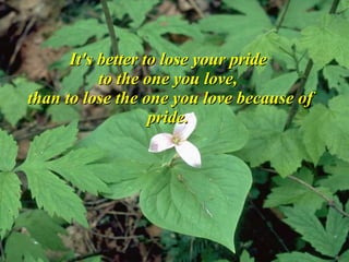 It's better to lose your pride  to the one you love,  than to lose the one you love because of pride.   