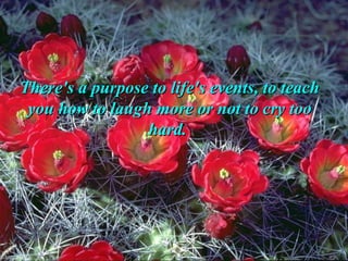 There's a purpose to life's events, to teach you how to laugh more or not to cry too hard.  