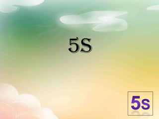 5s 5S 