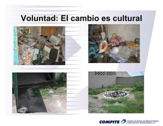 Voluntad: El cambio es cultural
 