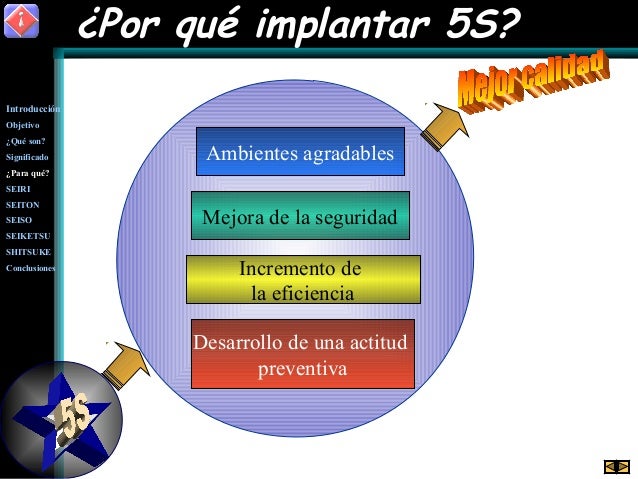 Diagrama 5s Espanol
