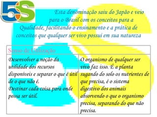 Esta denominação saiu do Japão e veio  para o Brasil com os conceitos para a Qualidade, facilitando o ensinamento e a prática de conceitos que qualquer ser vivo possui em sua natureza    Senso de Utilização O organismo de qualquer ser vivo faz isso. É a planta sugando do solo os nutrientes de que precisa, é o sistema digestivo dos animais absorvendo o que o organismo precisa, separando do que não precisa.   Desenvolver a noção da utilidade dos recursos disponíveis e separar o que é útil de o que não é.  Destinar cada coisa para onde possa ser útil.    