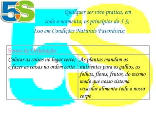 Qualquer ser vivo pratica, em  todo o momento, os princípios do 5 S; Isso em Condições Naturais Favoráveis:    Senso de Ordenação As plantas mandam os nutrientes para os galhos, as folhas, flores, frutos, do mesmo modo que nosso sistema vascular alimenta todo o nosso corpo Colocar as coisas no lugar certo; é fazer as coisas na ordem certa 