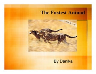 The Fastest Animal




     By Danika
 
