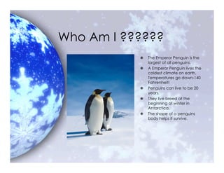 5 S Penguin | PPT