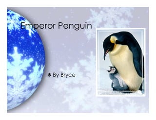 Emperor Penguin




      By Bryce
 