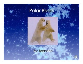 Polar Bears




 By: Brenden
 