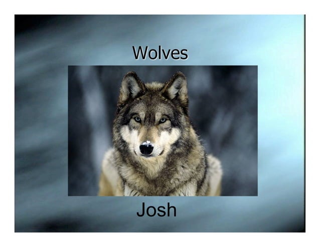 5-s-wolf-ppt