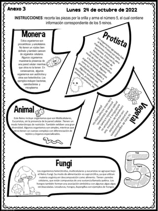 Anexo 3 Lunes 24 de octubre de 2022
INSTRUCCIONES: recorta las piezas por la orilla y arma el número 5, el cual contiene
información correspondiente de los 5 reinos.
 
