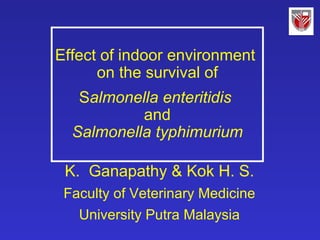 Effect of indoor environment  on the survival of   S almonella enteritidis  and Salmonella typhimurium K.  Ganapathy & Kok H. S. Faculty of Veterinary Medicine University Putra Malaysia 