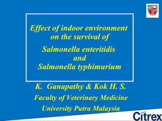 Effect of indoor environment  on the survival of   Salmonella enteritidis  and Salmonella typhimurium K.  Ganapathy & Kok H. S. Faculty of Veterinary Medicine University Putra Malaysia 