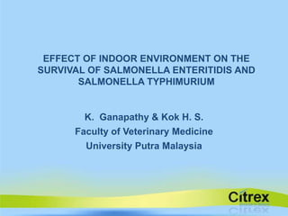 EFFECT OF INDOOR ENVIRONMENT ON THE SURVIVAL OF SALMONELLA ENTERITIDIS AND SALMONELLA TYPHIMURIUM K.  Ganapathy & Kok H. S. Faculty of Veterinary Medicine University Putra Malaysia 