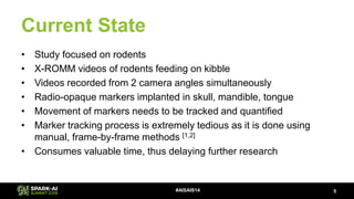 Current State
• Study focused on rodents
• X-ROMM videos of rodents feeding on kibble
• Videos recorded from 2 camera angl...