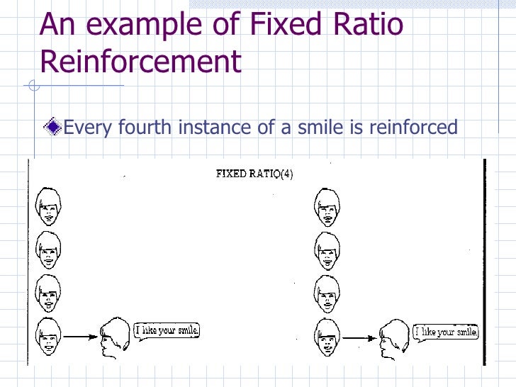 schedules of reinforcement