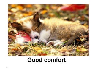 Good comfort
37
 