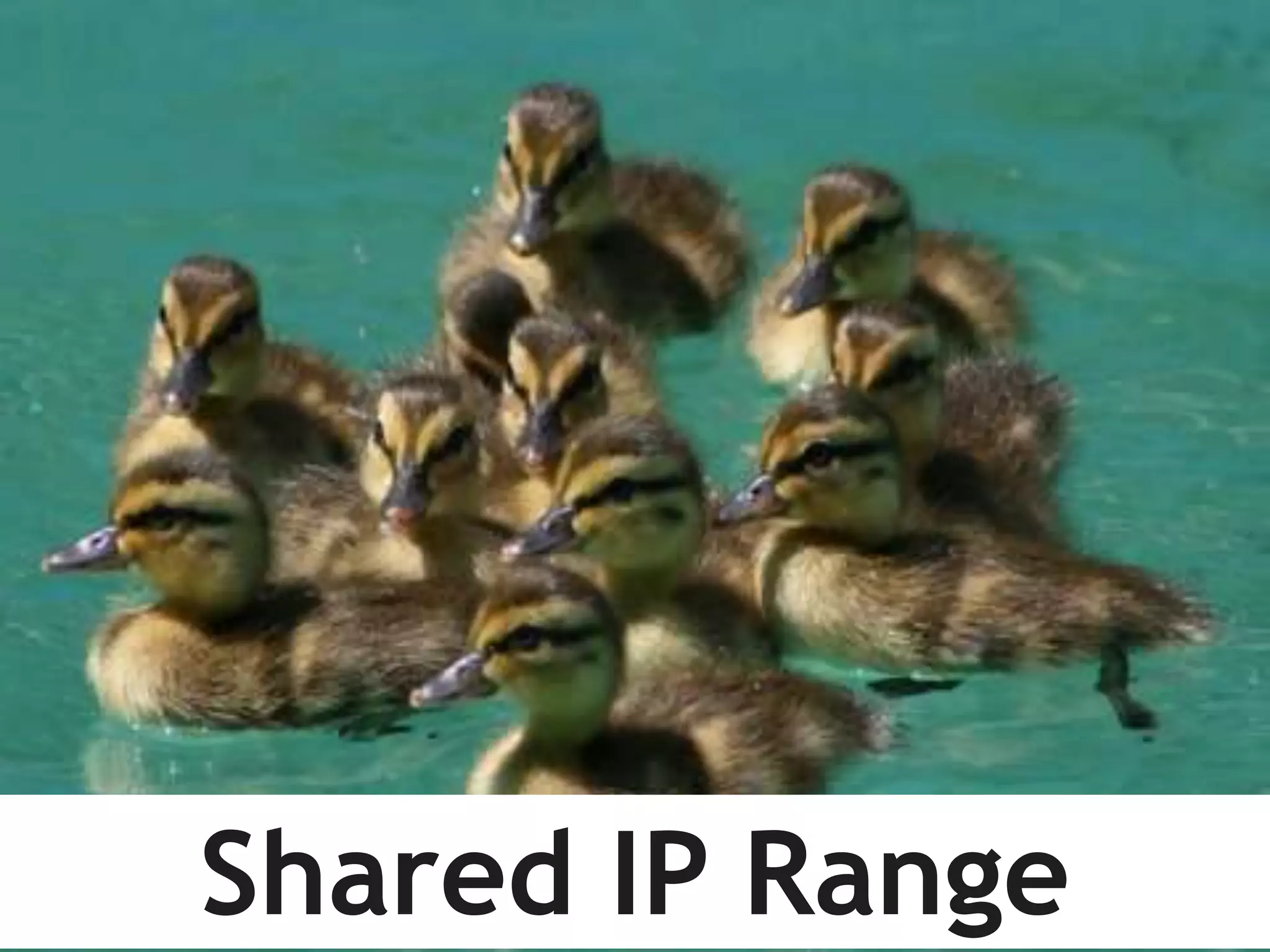 Shared IP Range

 