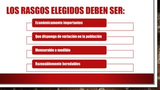 LOS RASGOS ELEGIDOS DEBEN SER:
Económicamente importantes
Que disponga de variación en la población
Mensurable o medible
Razonablemente heredables
 