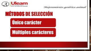 MÉTODOS DE SELECCIÓN
Único carácter
Múltiples carácteres
 