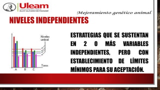 NIVELES INDEPENDIENTES
ESTRATEGIAS QUE SE SUSTENTAN
EN 2 O MÁS VARIABLES
INDEPENDIENTES, PERO CON
ESTABLECIMIENTO DE LÍMITES
MÍNIMOS PARA SU ACEPTACIÓN.
 