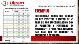EJEMPLO:
SELECCIONAR TOROS QUE TENGAN
UN DEP POSITIVO Y MAYOR DE +1
PARA CE, POR SU CORRELACIÓN CON
LA PUBERTAD Y FERTILIDAD EN
NOVILLAS Y +5 PARA PESO AJUSTADO
548 DÍAS QUE SE TRADUCE EN
EFICIENCIA A PASTOREO
DEP = Diferencia esperada de la progenie
 