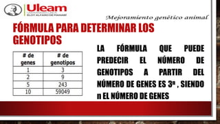 FÓRMULA PARA DETERMINAR LOS
GENOTIPOS
LA FÓRMULA QUE PUEDE
PREDECIR EL NÚMERO DE
GENOTIPOS A PARTIR DEL
NÚMERO DE GENES ES 3n , SIENDO
n EL NÚMERO DE GENES
 