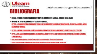 BIBLIOGRAFIA
• HENAU, F. 1999. PRINCIPIOS DE GENÉTICA Y MEJORAMIENTO ANIMAL. CÓDIGO KOHA 9583
• MIQUEL, M. 2011. MEJORAMIENTO GENÉTICO ANIMAL.
HTTPS://EBOOKCENTRAL.PROQUEST.COM/LIB/ULEAMECSP/READER.ACTION?DOCID=3196218&QUERY=MEJO
RAMIENTO+ANIMAL
• HTTPS://WWW.ENGORMIX.COM/GANADERIA-CARNE/ARTICULOS/BUENOVET-SELECCION-T42272.HTM
• HTTP://IES.GARCIABARROS.CCMC.CLIMANTICA.ORG/2011/03/22/DIFERENCIA-ENTRE-SELECCION-NATURAL-
Y-ARTIFICIAL//
• HTTP://MARKA-WWWGLOVERS20.BLOGSPOT.COM/2010/10/SELECCION-NATURAL-DE-MARIANA-Y-KAREN.HTML
• HTTPS://ES.SLIDESHARE.NET/IVANARROYOAZTK/SELECCION-NATURAL-Y-SELECCION-ARTIFICIAL?FROM_ACTION=SAVE
 