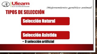 TIPOS DE SELECCIÓN
Selección Natural
Selección Asistida
• O selección artificial
 