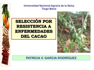 SELECCIÓN POR
RESISTENCIA A
ENFERMEDADES
DEL CACAO
PATRICIA V. GARCIA RODRÍGUEZ
Universidad Nacional Agraria de la Selva
Tingo María
 