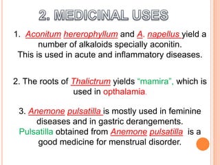 1. Aconitum hererophyllum and A. napellus yield a
number of alkaloids specially aconitin.
This is used in acute and inflammatory diseases.
2. The roots of Thalictrum yields “mamira”, which is
used in opthalamia.
3. Anemone pulsatilla is mostly used in feminine
diseases and in gastric derangements.
Pulsatilla obtained from Anemone pulsatilla is a
good medicine for menstrual disorder.
 