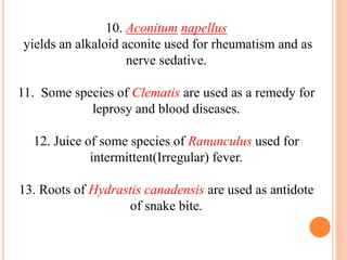 10. Aconitum napellus
yields an alkaloid aconite used for rheumatism and as
nerve sedative.
11. Some species of Clematis are used as a remedy for
leprosy and blood diseases.
12. Juice of some species of Ranunculus used for
intermittent(Irregular) fever.
13. Roots of Hydrastis canadensis are used as antidote
of snake bite.
 