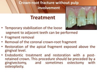 Crown-root fracture without pulp
involvement
Treatment
• Temporary stabilization of the loose
segment to adjacent teeth can be performed
• Fragment removal
• Removal of the coronal crown-root fragment
• Restoration of the apical fragment exposed above the
gingival level.
• Endodontic treatment and restoration with a post-
retained crown. This procedure should be preceded by a
gingivectomy, and sometimes ostectomy with
osteoplasty.
 