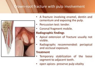 Crown-root fracture with pulp involvement
• A fracture involving enamel, dentin and
cementum and exposing the pulp.
• Percussion test: tender.
• Coronal fragment mobile.
Radiographic findings
• Apical extension of fracture usually not
visible.
• Radiographs recommended: periapical
and occlusal exposure.
Treatment
• Temporary stabilization of the loose
segment to adjacent teeth.
• open apices- preserve pulp vitality
 