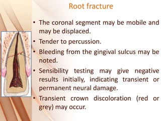Root fracture
• The coronal segment may be mobile and
may be displaced.
• Tender to percussion.
• Bleeding from the gingival sulcus may be
noted.
• Sensibility testing may give negative
results initially, indicating transient or
permanent neural damage.
• Transient crown discoloration (red or
grey) may occur.
 