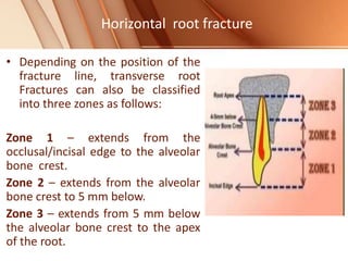 • Depending on the position of the
fracture line, transverse root
Fractures can also be classified
into three zones as follows:
Zone 1 – extends from the
occlusal/incisal edge to the alveolar
bone crest.
Zone 2 – extends from the alveolar
bone crest to 5 mm below.
Zone 3 – extends from 5 mm below
the alveolar bone crest to the apex
of the root.
Horizontal root fracture
 